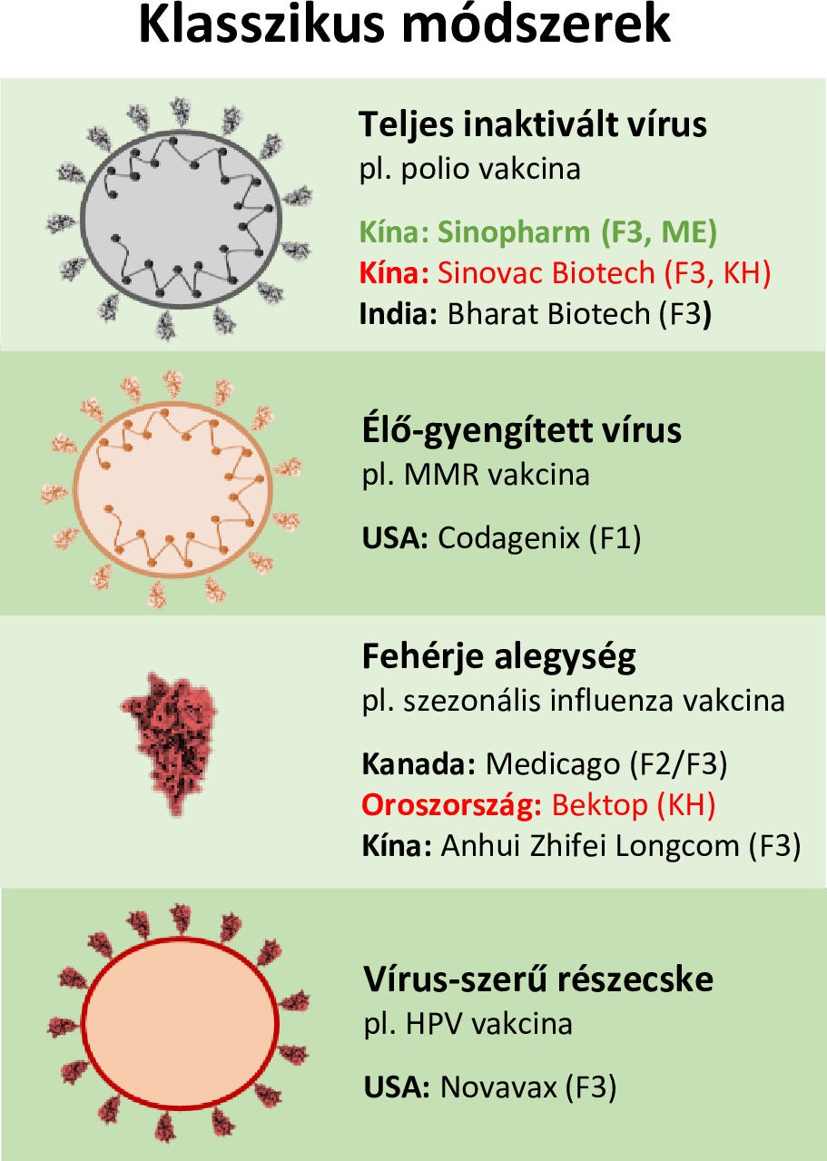 Koronavírus vakcinák: ezek lehetnek az oltás utáni mellékhatások, szövődmények - apiros.hu